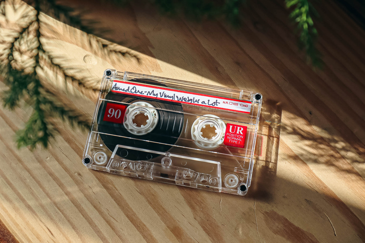 My Vinyl Weighs a Lot Cassette Tapes