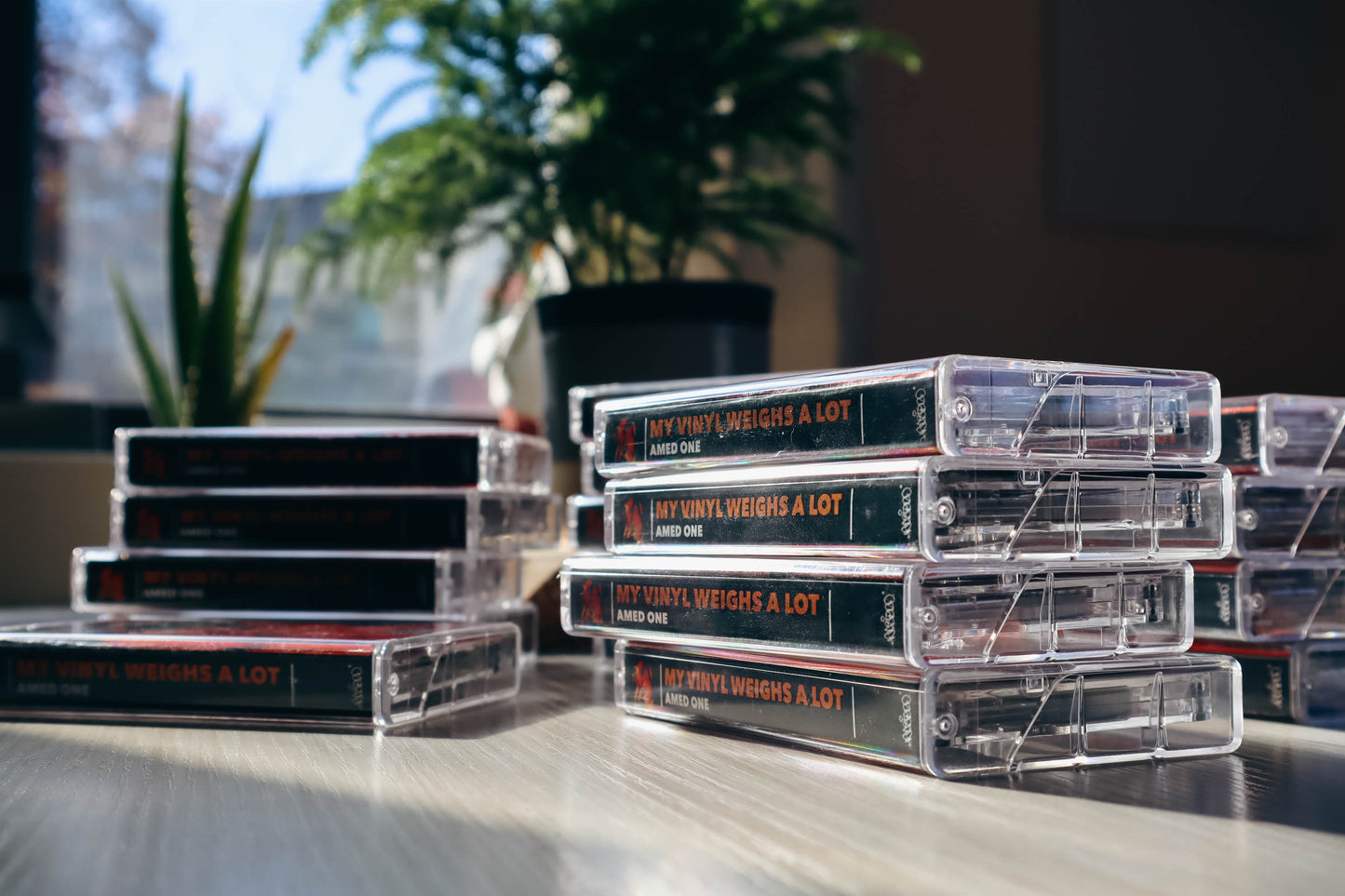 My Vinyl Weighs a Lot Cassette Tapes