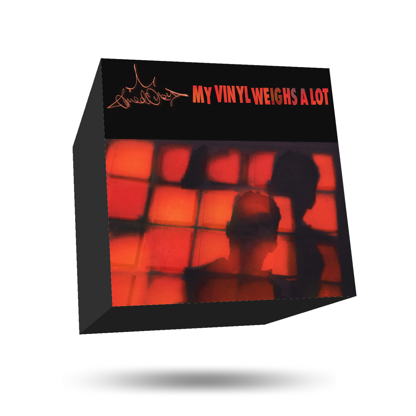 My Vinyl Weighs a Lot (Digital Album)